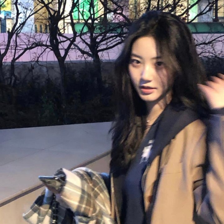 蒲公英的灰尘